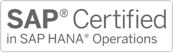 SAP Hana Operation Services Elmec Informatica
